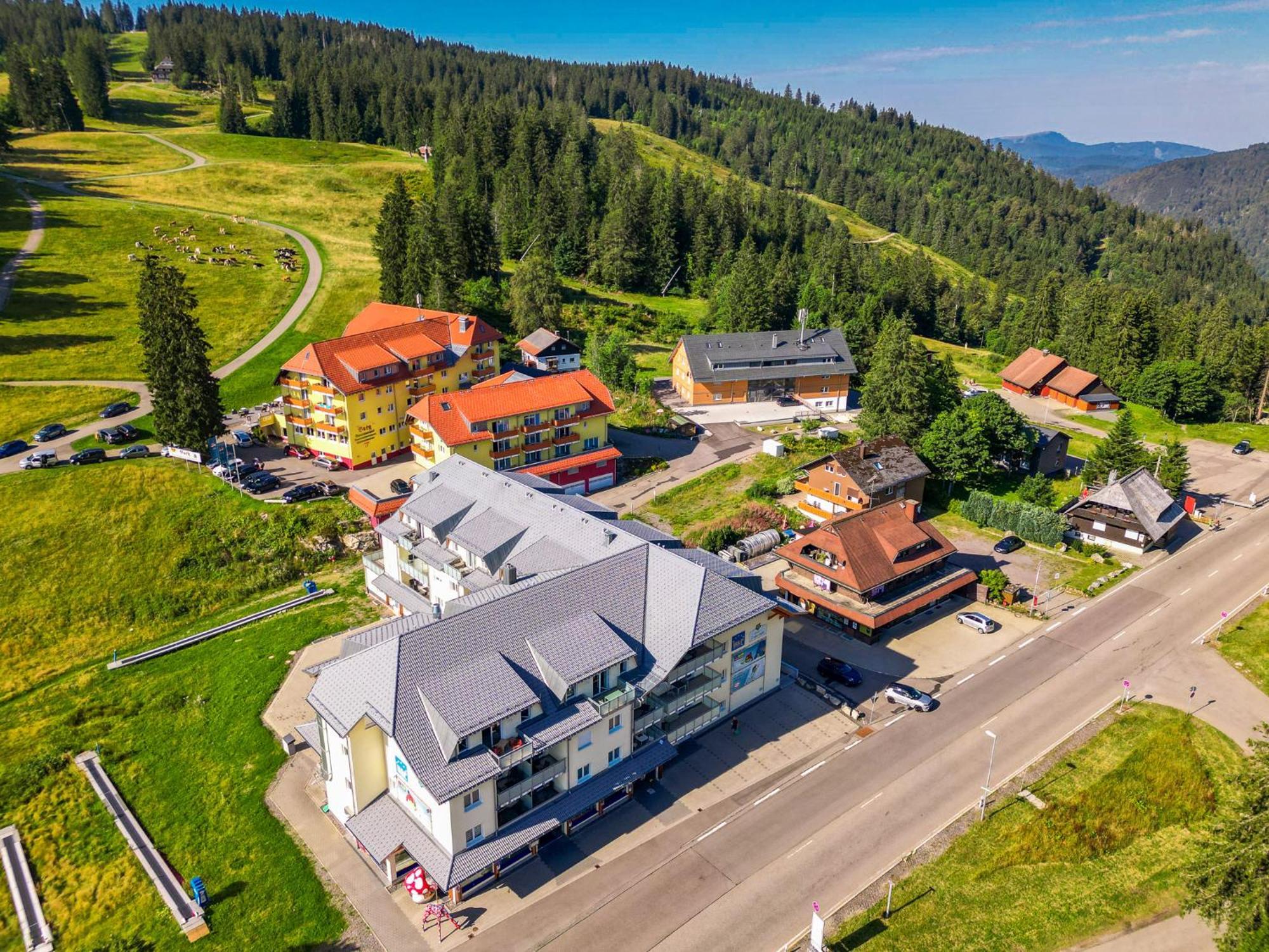 Feldberg Domizil - Residenz Grafenmatt Apartman Rinken Kültér fotó